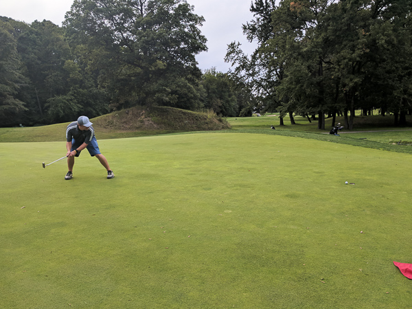 Dew Sweepers